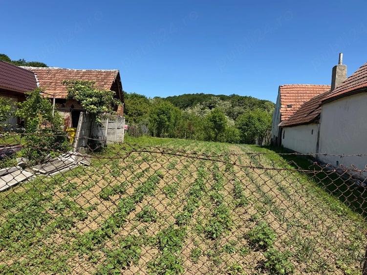 Teren de 600 mp, în Bradu