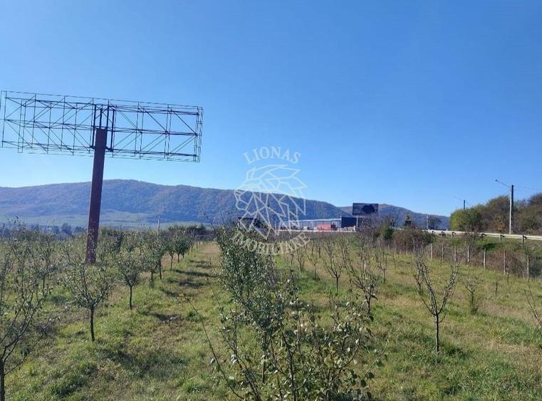 Teren Construcții intravilan de 12300 mp, în Crainimăt