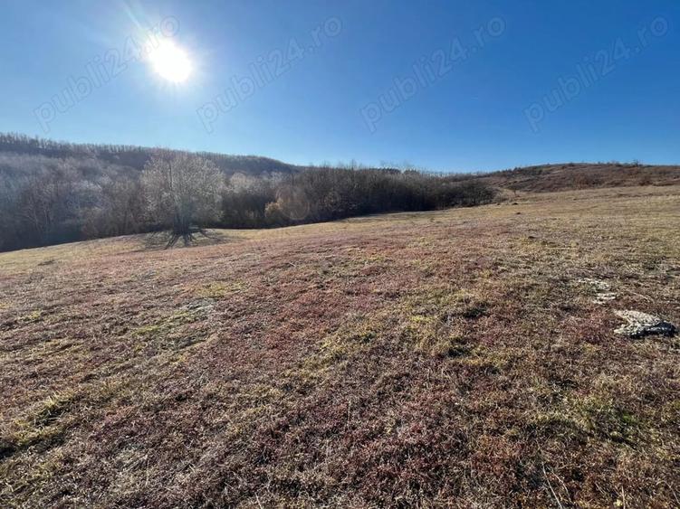 Vand teren in localitatea Lugasu de Sus, jud. Bihor la 41 km de Oradea - 1