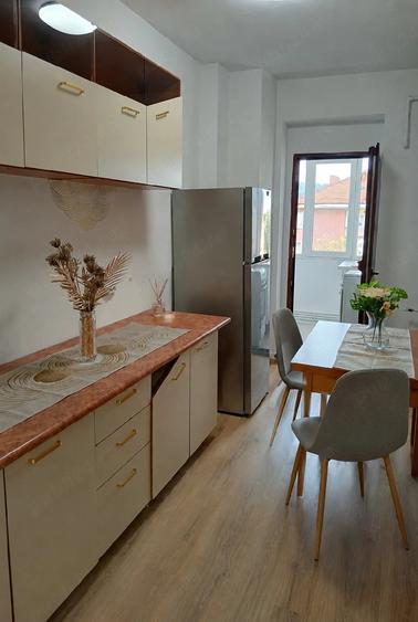 Apartament 2 camere zona UBB Re?i?a - 3