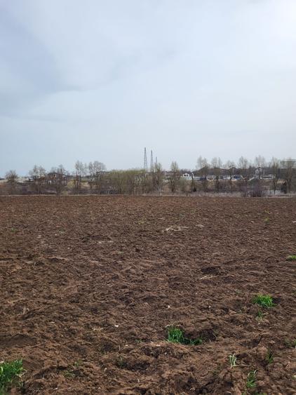 Teren agricol intravilan de 10000 mp, în Săftica