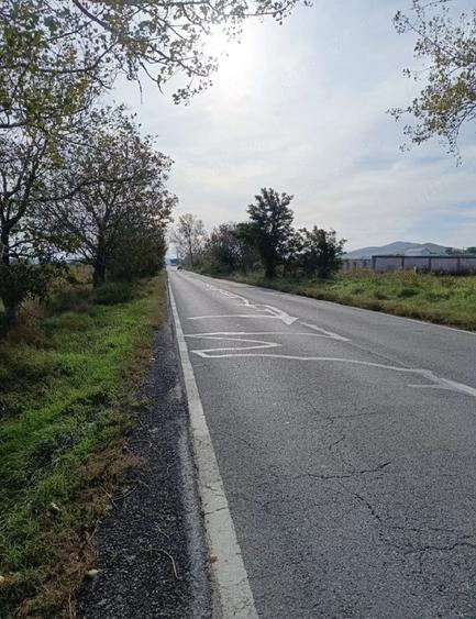 Teren de 1600 mp, în Mineri