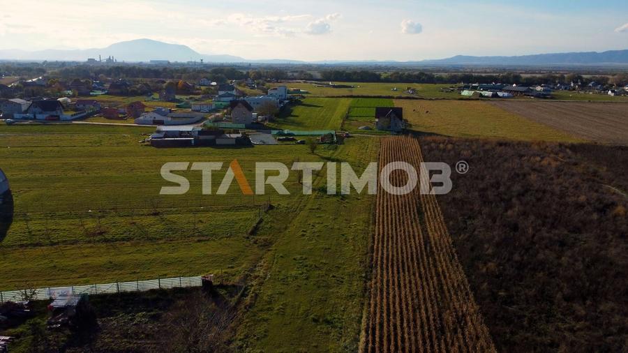 Teren Construcții intravilan de 3000 mp, în Bod