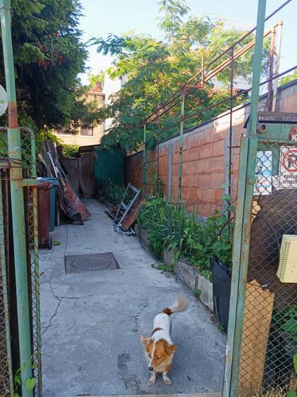 Casă cu 5 camere cu Teren 216 Mp în Banu Manta
