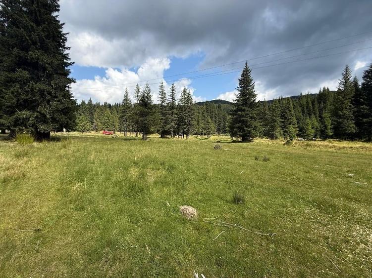 Teren Construcții intravilan de 5000 mp, în Moroeni