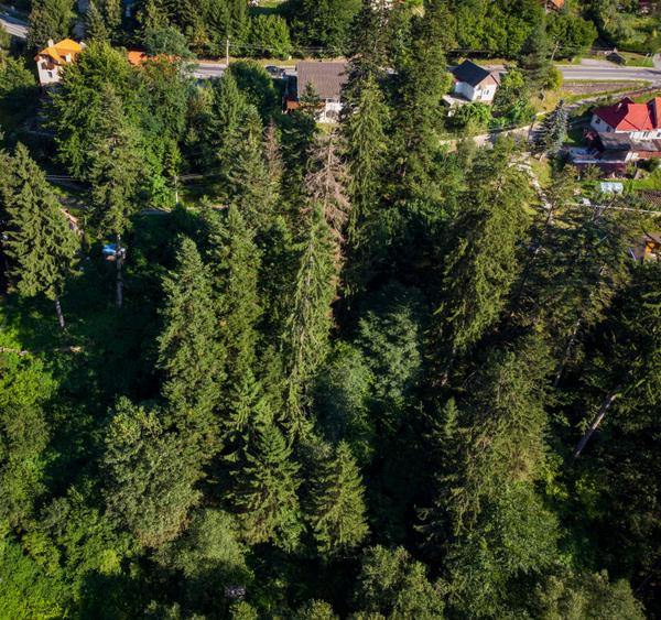 Teren Construcții intravilan de 1726 mp, în Tușnad