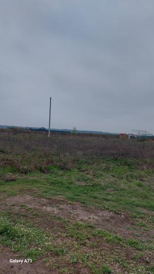 Teren Construcții intravilan de 5808 mp, în Săbăreni