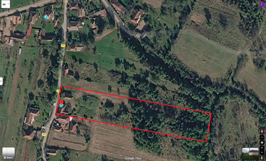 Teren Construcții intravilan de 4903 mp, în Lunca (Baia de Criș)