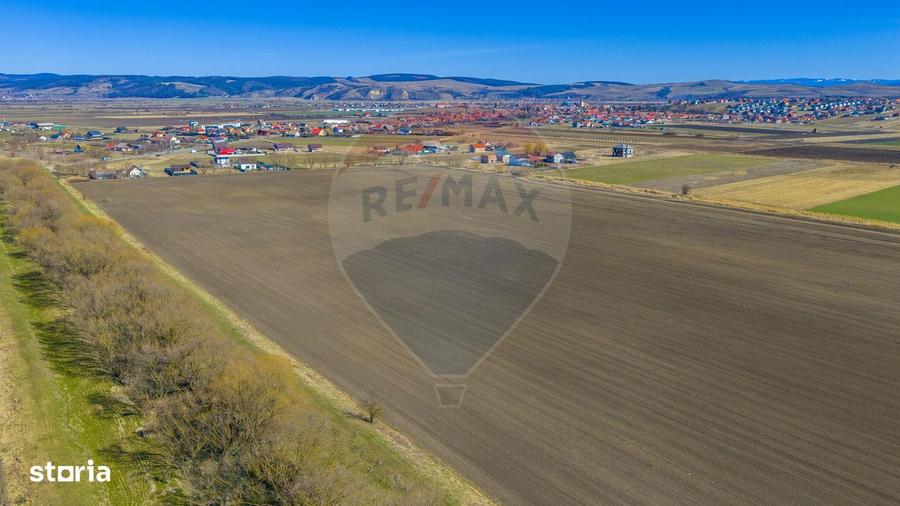 Teren de 10000 mp, în Bod