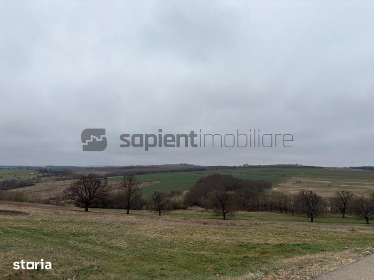 Teren de 8 mp, în Husasău de Tinca