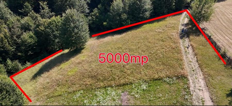 Teren agricol extravilan de 5000 mp, în Șinca Nouă
