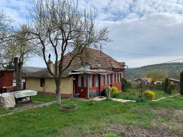 Casă cu 2 camere în Ulieș