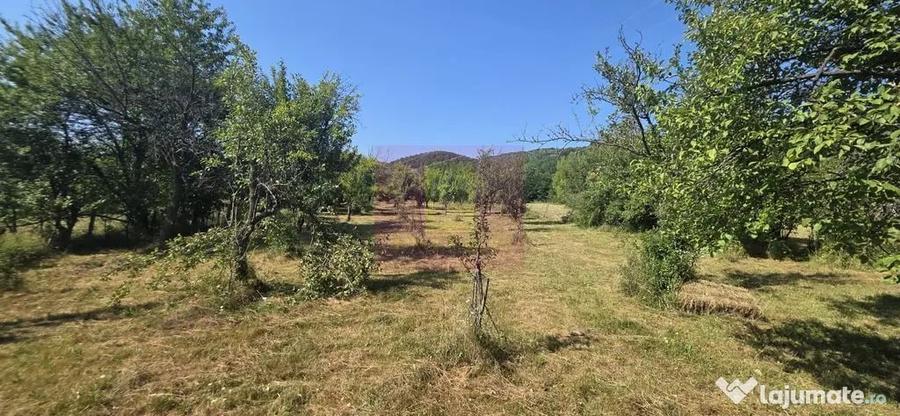Teren intravilan de vanzare 3375 mp in Brebu - 3