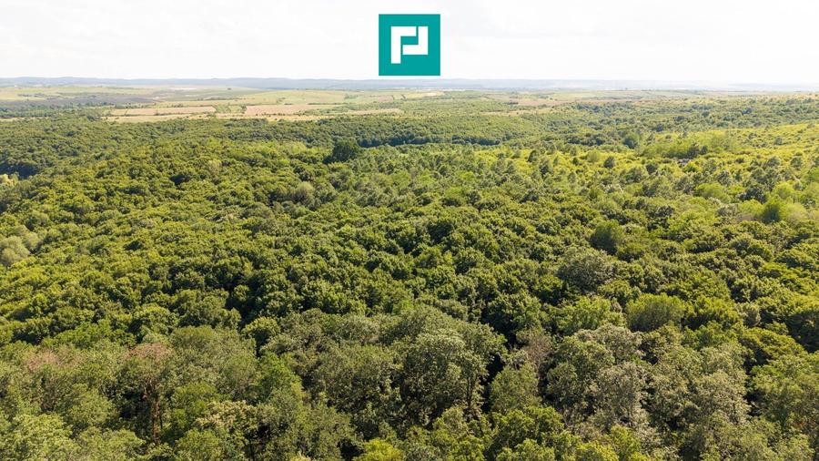 Teren agricol extravilan de 22900 mp, în Exterior Sud