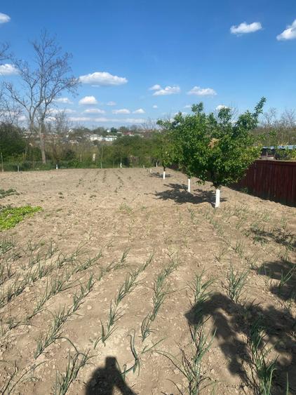 Casă cu 2 camere în Central