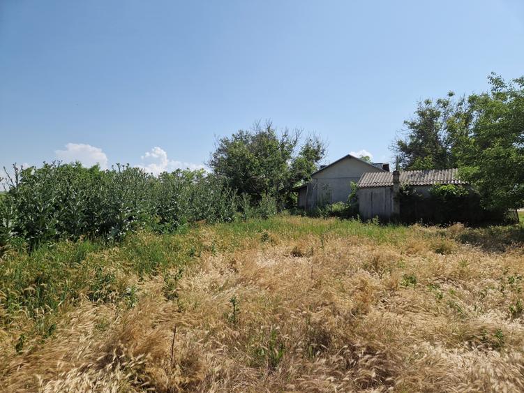 Teren Construcții intravilan de 532 mp, în Polcești