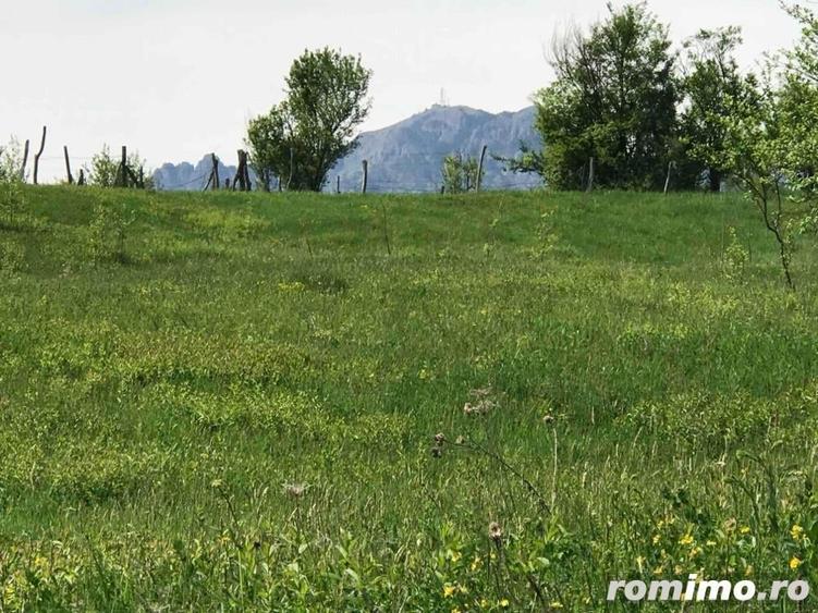Teren în Stoenești