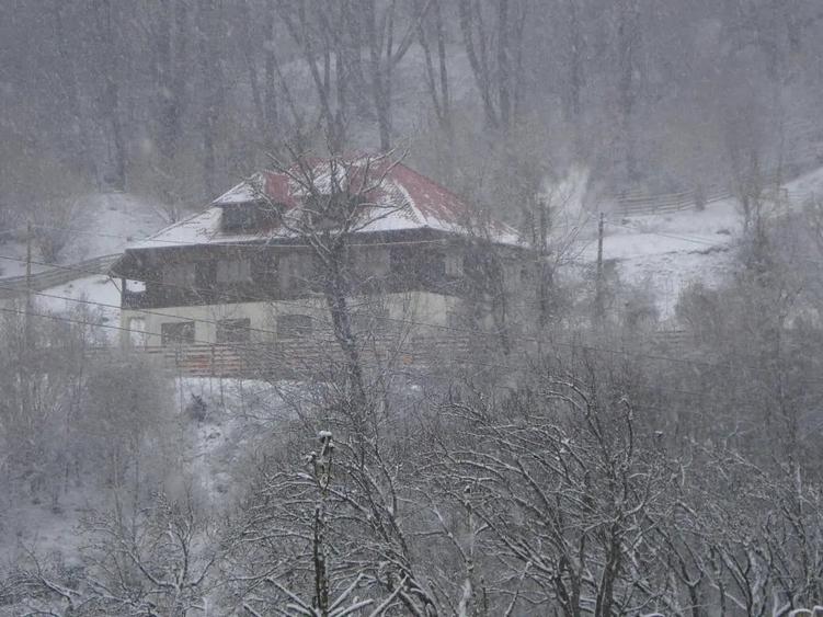 Casă cu 5 camere în Varlaam