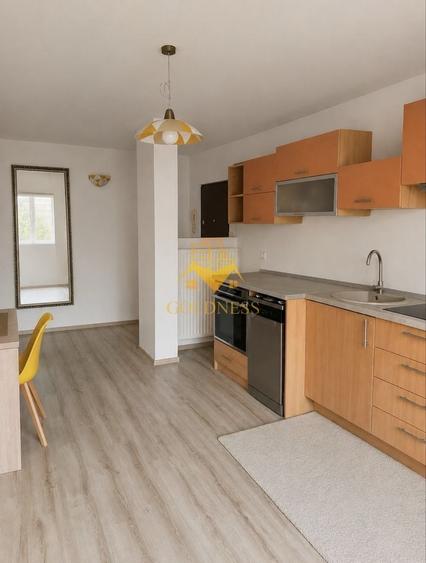 Apartament cu 2 camere decomandat, mobilat în Plopilor
