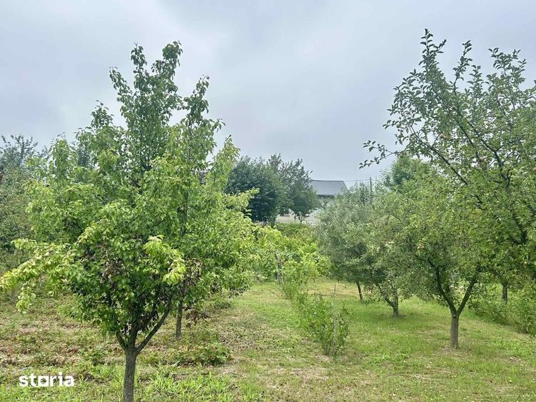 Casă cu 3 camere cu Teren 2200 Mp în Chicerea