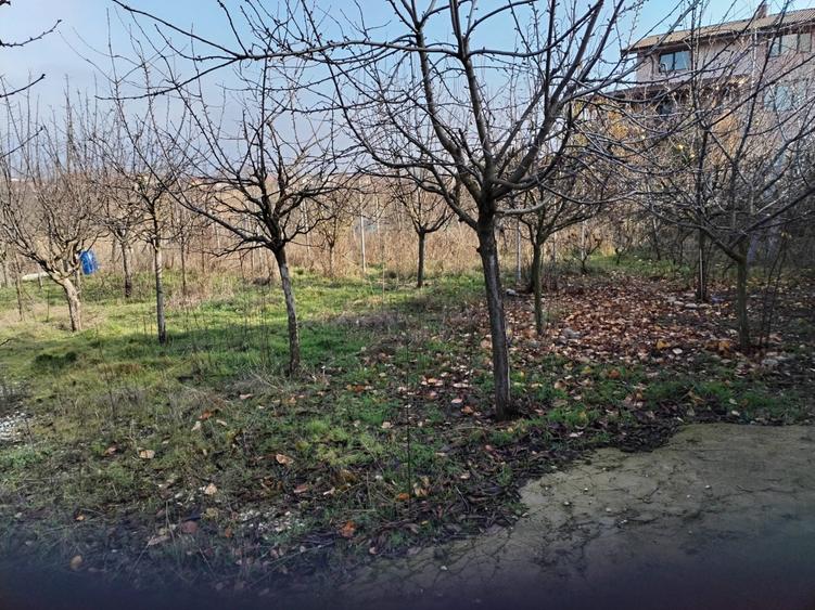 Teren intravilan de 609 mp, în Vidra