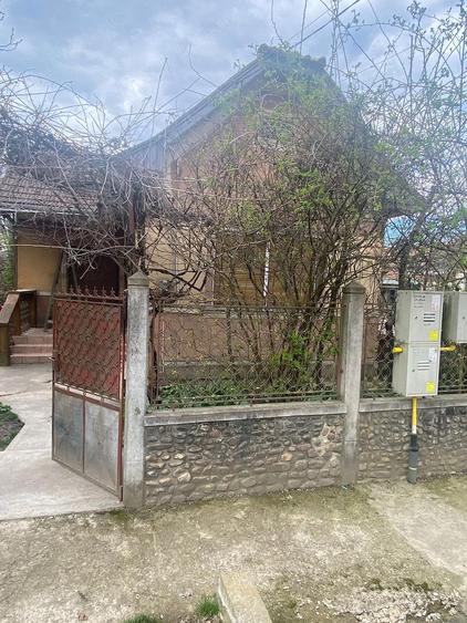 Casă în Viișoara
