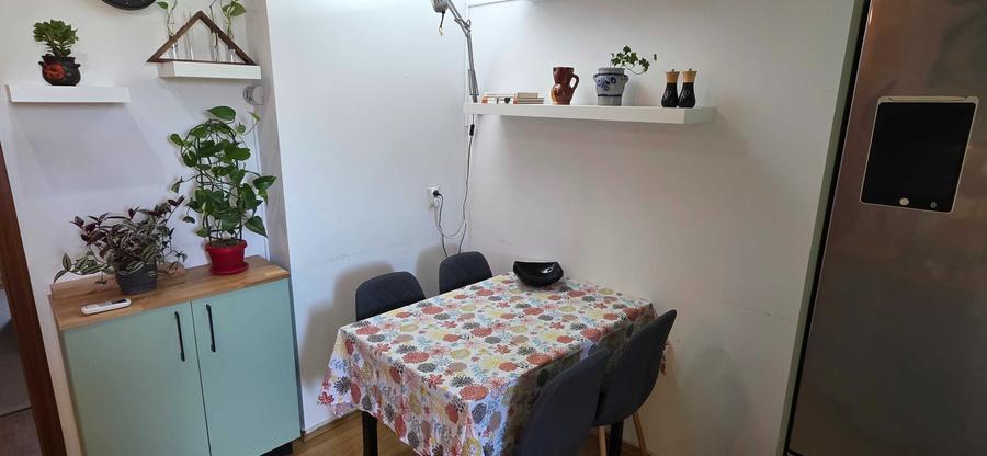 Apartament cu 2 camere decomandat în Dosu Bricii