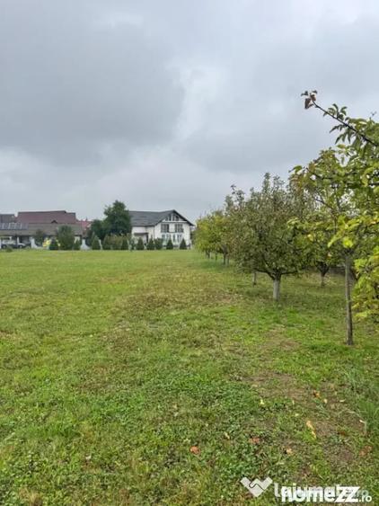 Casă cu 3 camere cu Teren 5754 Mp în Tăuții-Măgherăuș