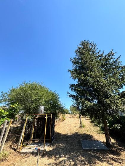 Casă individuală cu 3 camere cu Teren 1190 Mp în Periferie