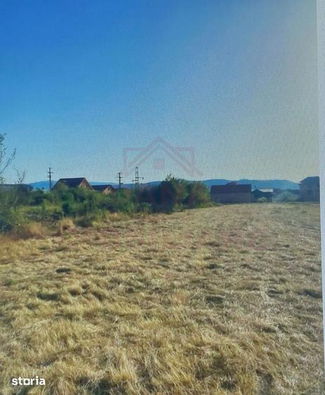 Teren de 4900 mp, în Central