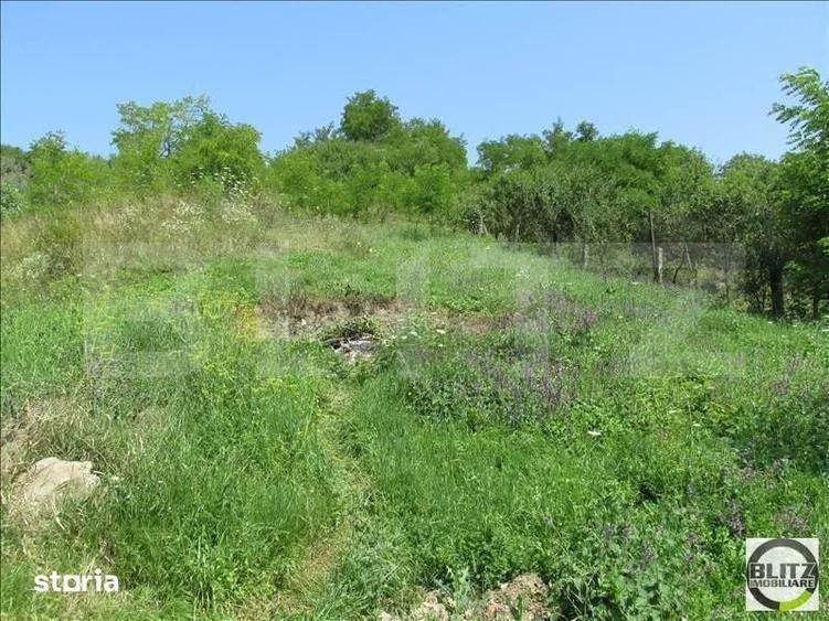 Investitie !Teren extravilan,15554 mp, zona in plina dezvoltare - 3