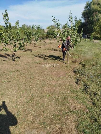 Teren intravilan 6.500 mp cu iesire directa la bratul borcea