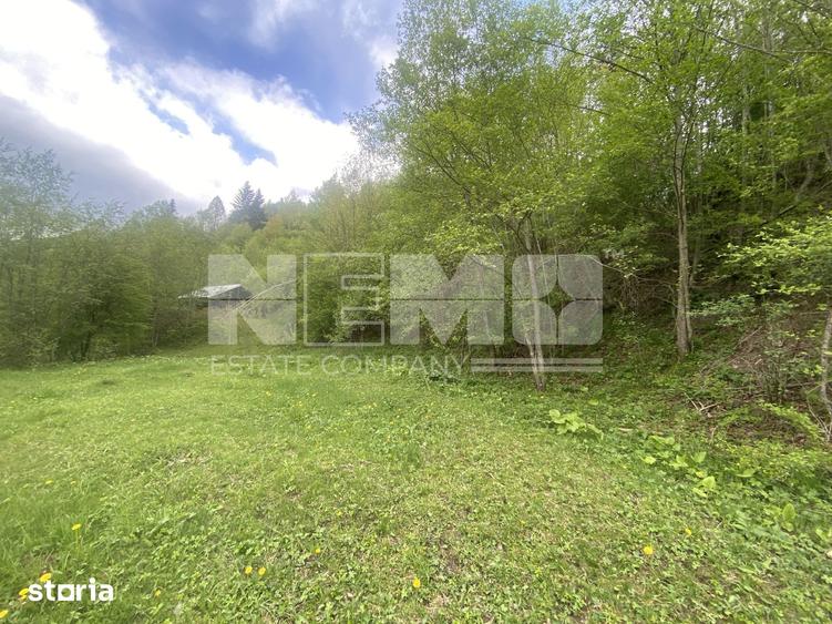 Teren de 3100 mp, în Frasin