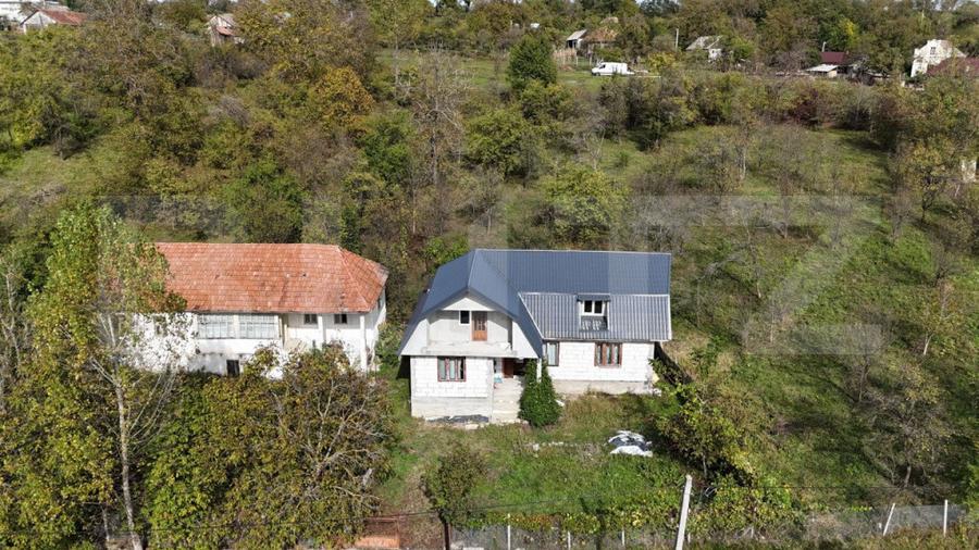 Casă cu 2 camere cu Teren 6000 Mp în Central