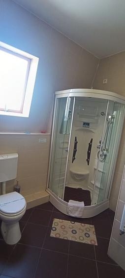 Apartament în Dosu Bricii