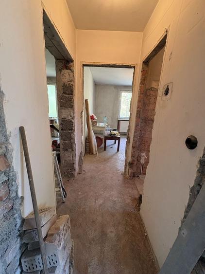 Apartament cu 2 camere decomandat în Mureșeni