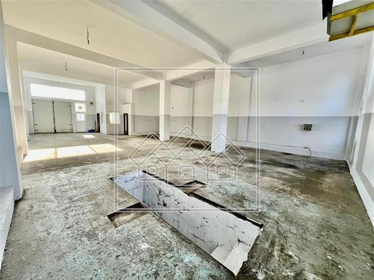 Spațiu comercial, de 420 mp, în Terezian