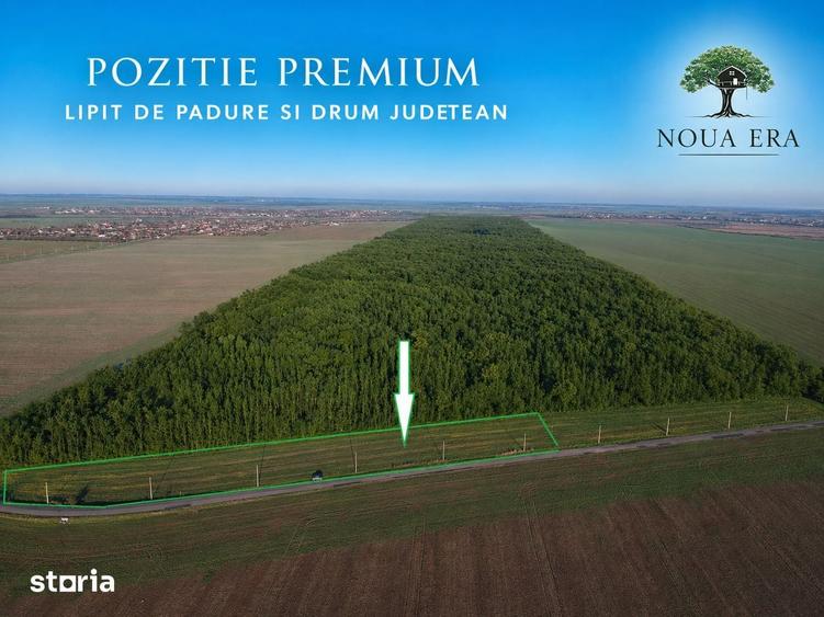 Teren pozitie superba, lipit de padure, intravilan, zona Frumusani. - 4