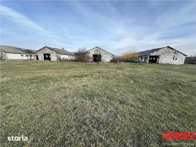 Teren de 27015 mp, în Racova