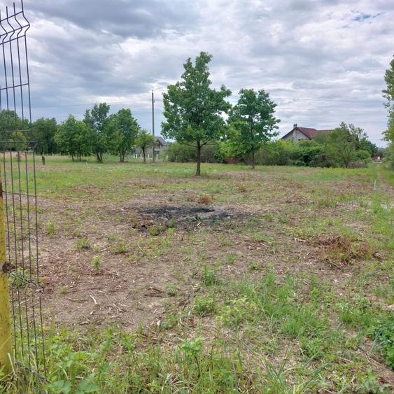 Spațiu comercial, în Tăuții-Măgherăuș