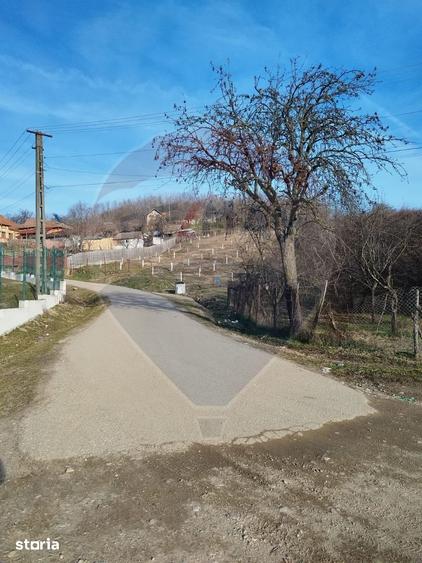 Teren de 1736 mp, în Bogați