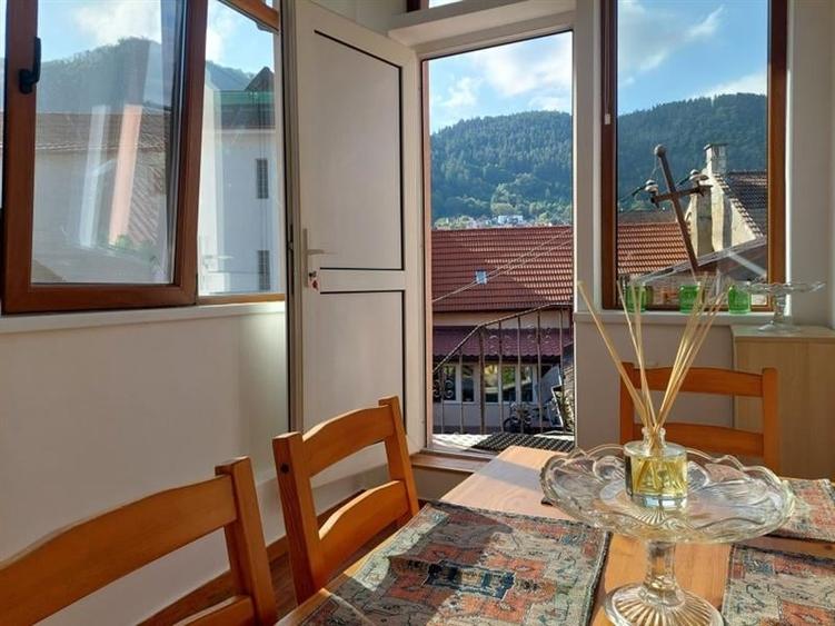 Garsoniera deschisa si la regim hotelier, priveliste frumoasa, pet friendly, loc - 1