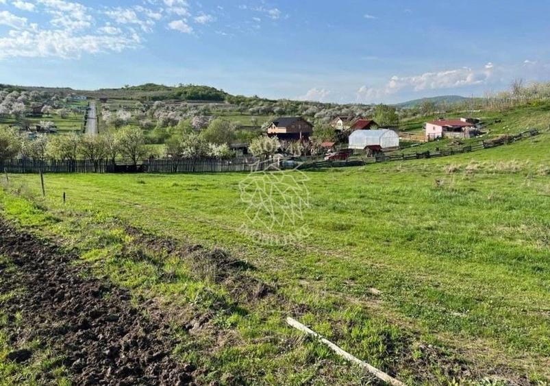 Teren agricol extravilan de 3300 mp, în Periferie