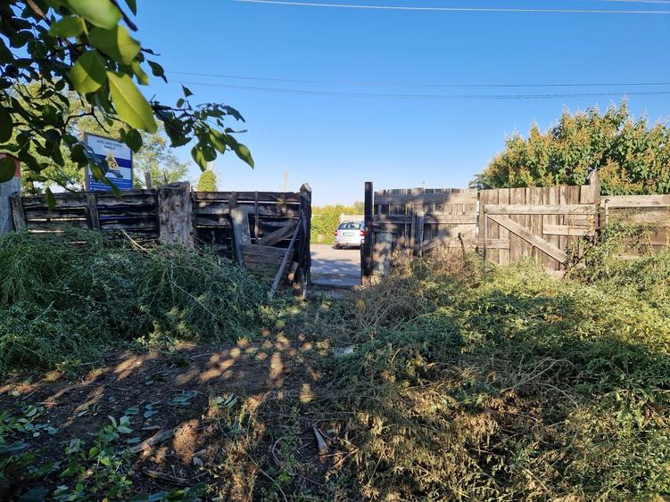 Casă cu 2 camere în Central