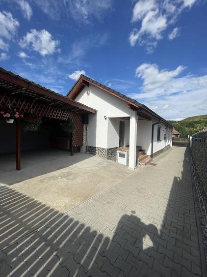Casă cu 3 camere în Viișoara