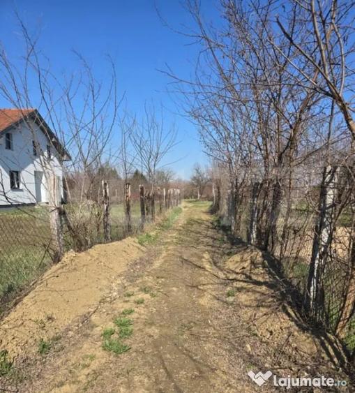 Teren de 4170 mp, în Bercu Roșu