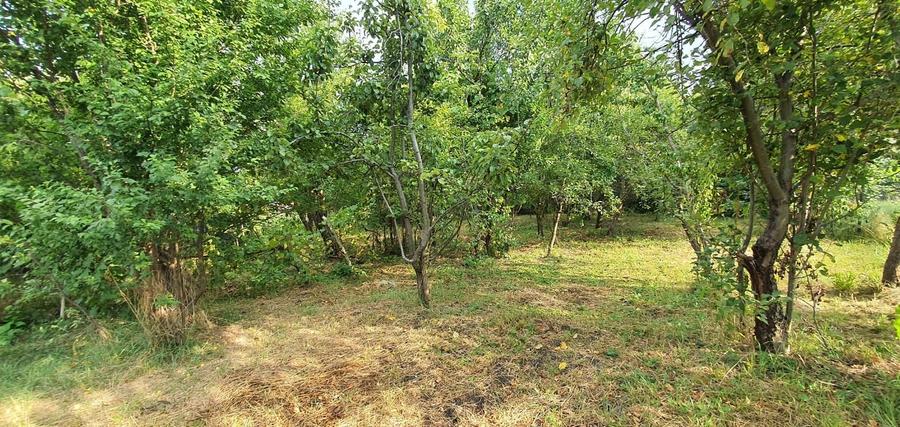 Teren Construcții intravilan de 640 mp, în Cisnădie