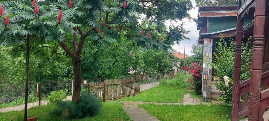 Casă individuală cu 2 camere cu Teren 1745 Mp în Comarnic