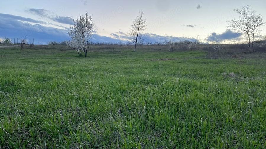 Teren extravilan (2025 PUZ intravilan) 2500 mp parcelabil, Hlincea- Juvat, 35euro mp, drum asfaltat - 1