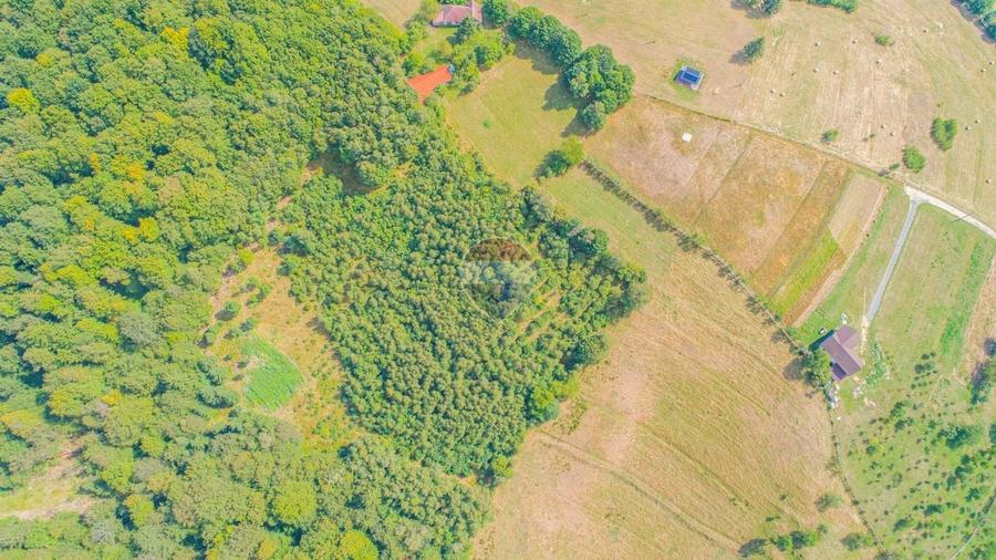 Teren agricol extravilan de 3906 mp, în Poiana Mărului